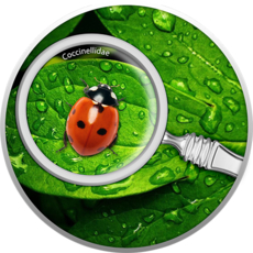 Сонечко з лiнзою 2020, 0,56 унцій