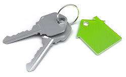 Великий вибір