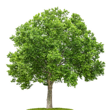 ПриватБанк – зелений банк