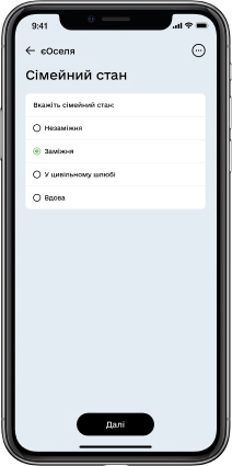 Fill in all the fields to apply for the loan (marital status, information about children, non-movable property, etc.).