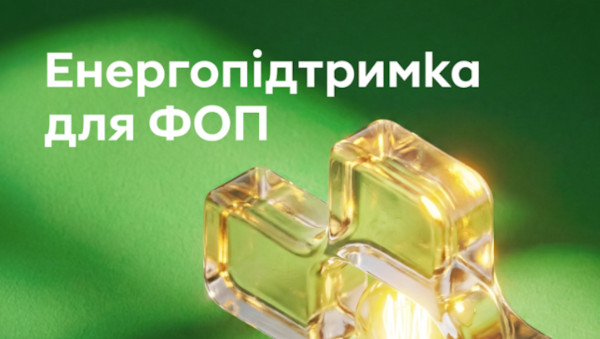 Підприємці – клієнти ПриватБанку зможуть отримати державну допомогу на енергонезалежність через Дію
